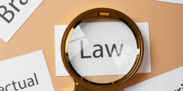 law-magnifying-glass