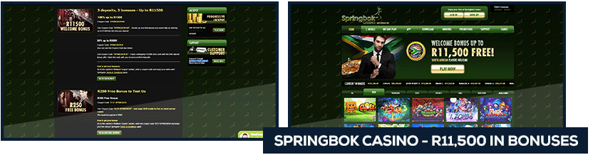 screenshot springbok casino