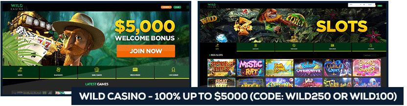 screenshot-usa-casinos-wild-casino