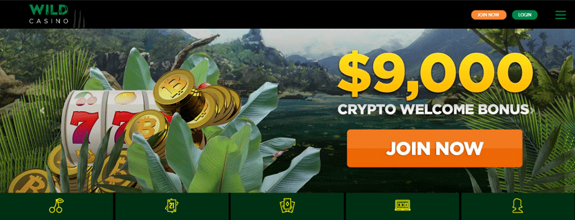 wild-casino-bitcoin-bonus