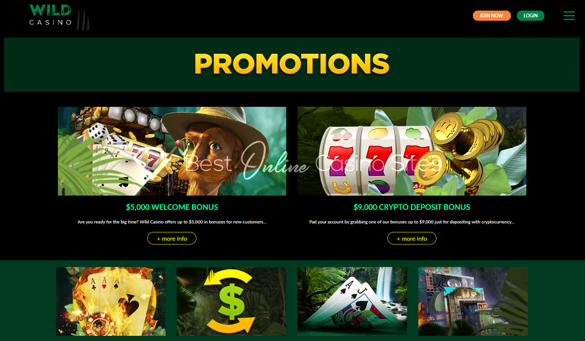 go wild casino no deposit bonus 2017