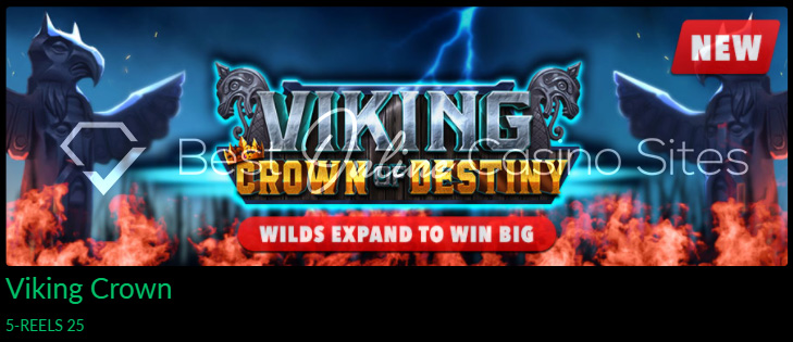 wild casino new slot game