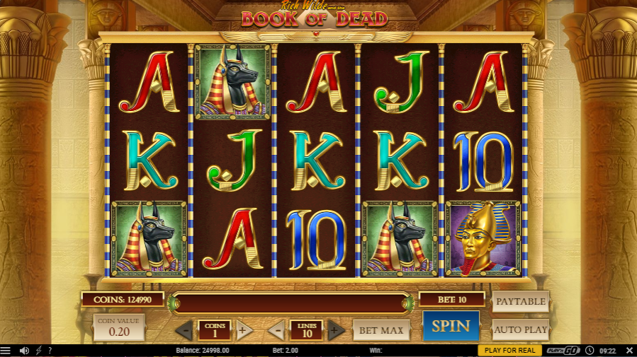 lucky-niki-book-of-dead-slot-game