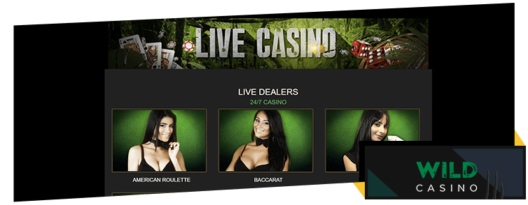 Live casino games at Wild Casino