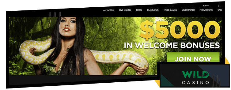 Wild Casino Welcome Bonus Wild Casino Welcome Bonus