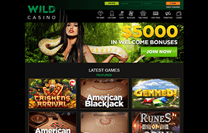 Wild Casino Home Page